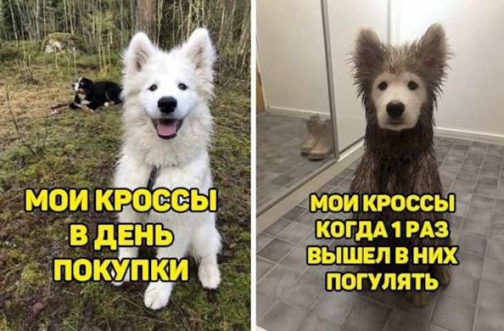 4кроссьі кбгдммз ышвлвних _ погулять МОИ КРОЁЁЫ __ вдвнч поюа иди