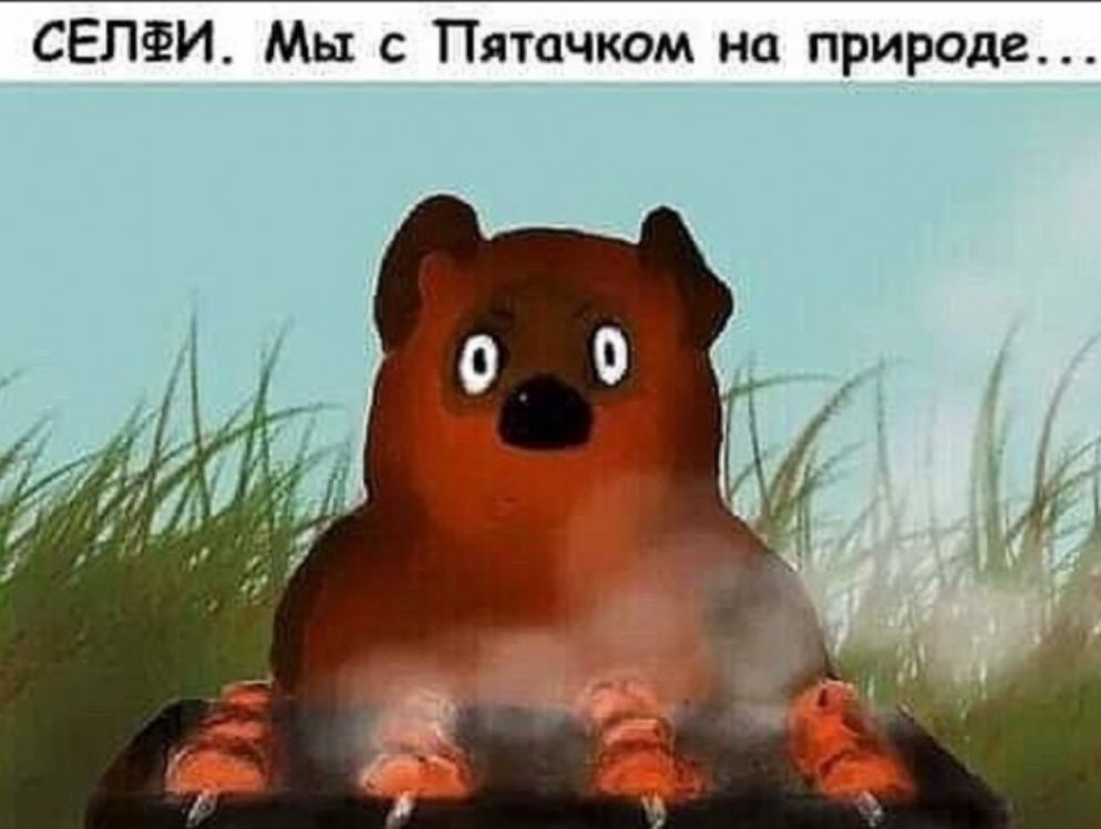 СЕПФИ Мы с Пятачком на природе