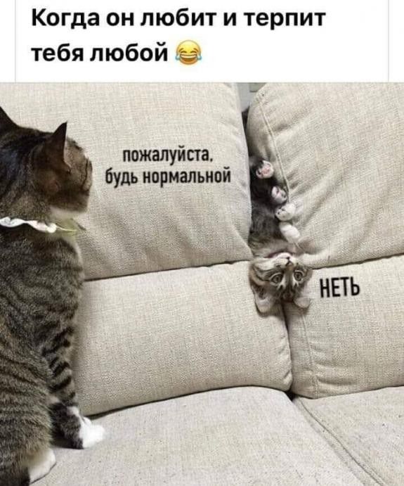 Когда он любит и терпит тебя любой пожалуйста будь нормальной