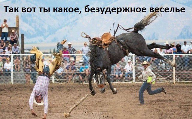 Так вот ты какое безудержное веселье 2 д