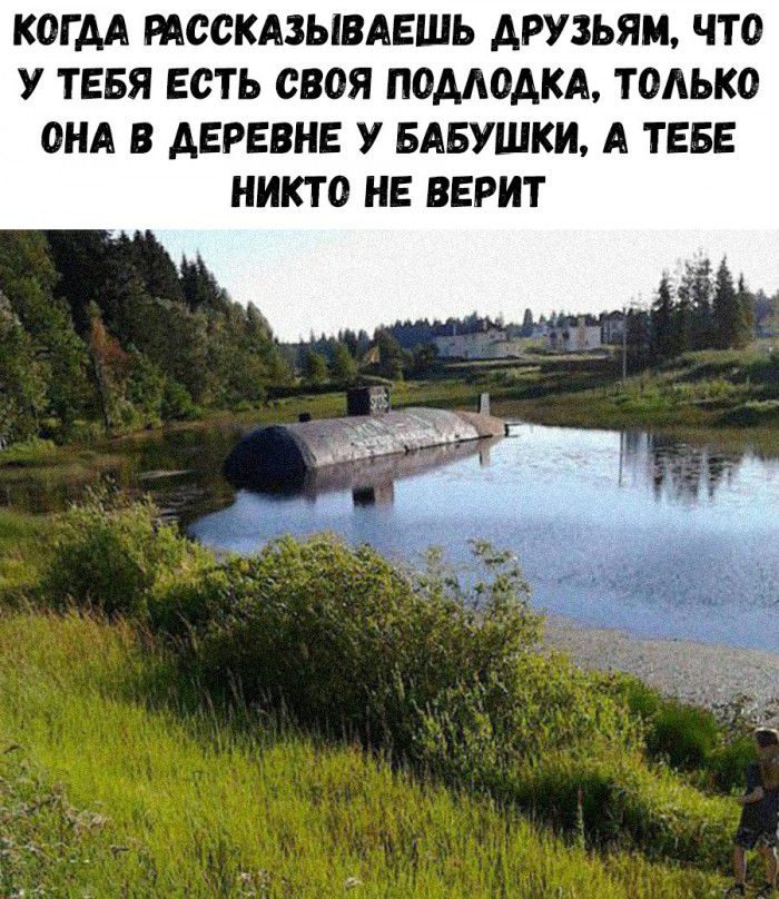 КОГАА РАССКАЗЫВАЕШЬ АРУЗЬЯМ ЧТО У ТЕБЯ ЕСТЬ СВОЯ ПОААОАКА ТОАЬКО ОНА В АЕРЕВНЕ У БАБУШКИ А ТЕБЕ НИКТО НЕ ВЕРИТ