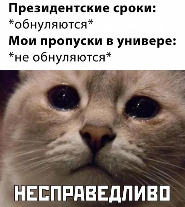 Президентские сроки обнупяются Мои пропуски в универе не обнуляются НЕЕПРПВЕДПИВП