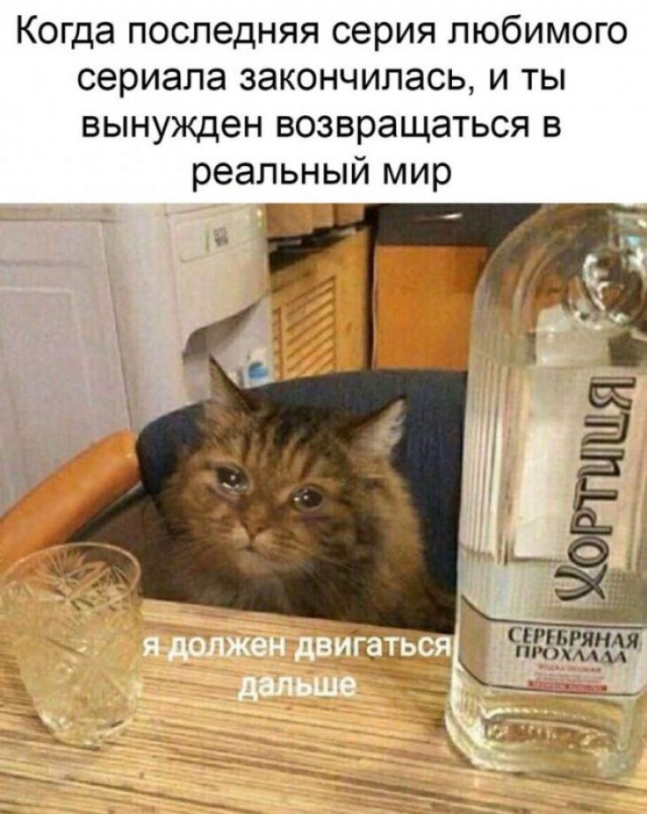 Когда последняя серия любимого сериала закончилась и ты вынужден возвращаться в реальный мир этажи