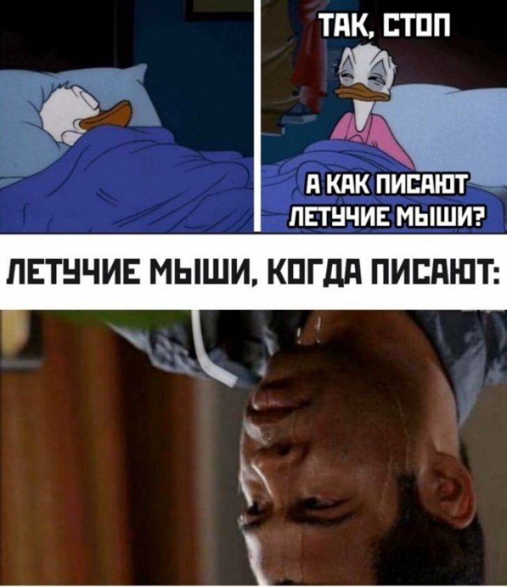 ТПК ЕТПП д КЛК ПИЕПШТ ППНЧИЕ МЫШИ