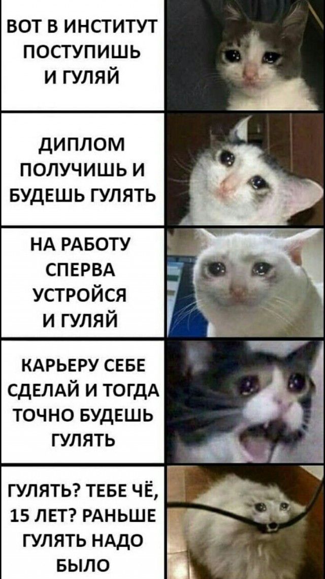 вот в институт поступишь и гуляй ДИПЛОМ ПОЛУЧИШЬ И БУДЕШЬ ГУЛЯТЬ нд РАБОТУ СПЕРВА устройся кдрьвру СЕБЕ СДЕЛАЙ и тогдА точно вудвшь 15 ЛЕТ РАНЬШЕ гулять НАдО БЫЛО