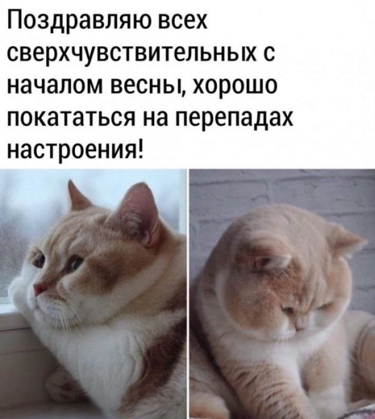 Поздравляю всех сверхчувствительных с началом весны хорошо покататься на перепадах настроения