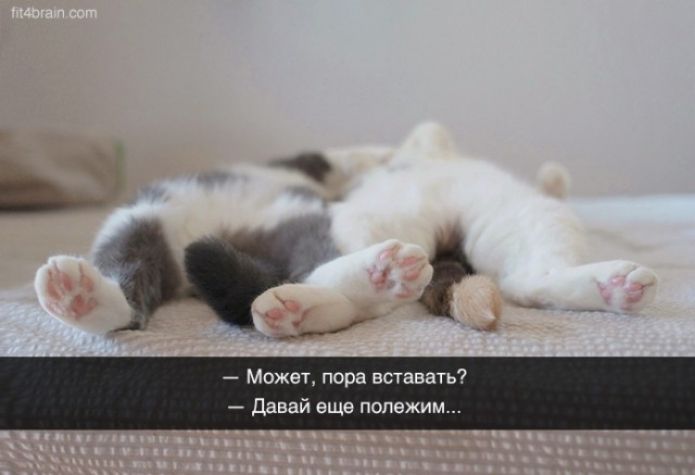 д 3 Может пора встават Давай еще попежим