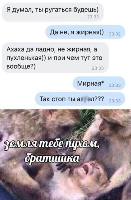 Я думал ты ругаться будешь да не я жирная ш Ахаха да ладно не жирная а пухленькая и при чем тут это вообще Мирная 23 33 Так стоп ты англ 23 33