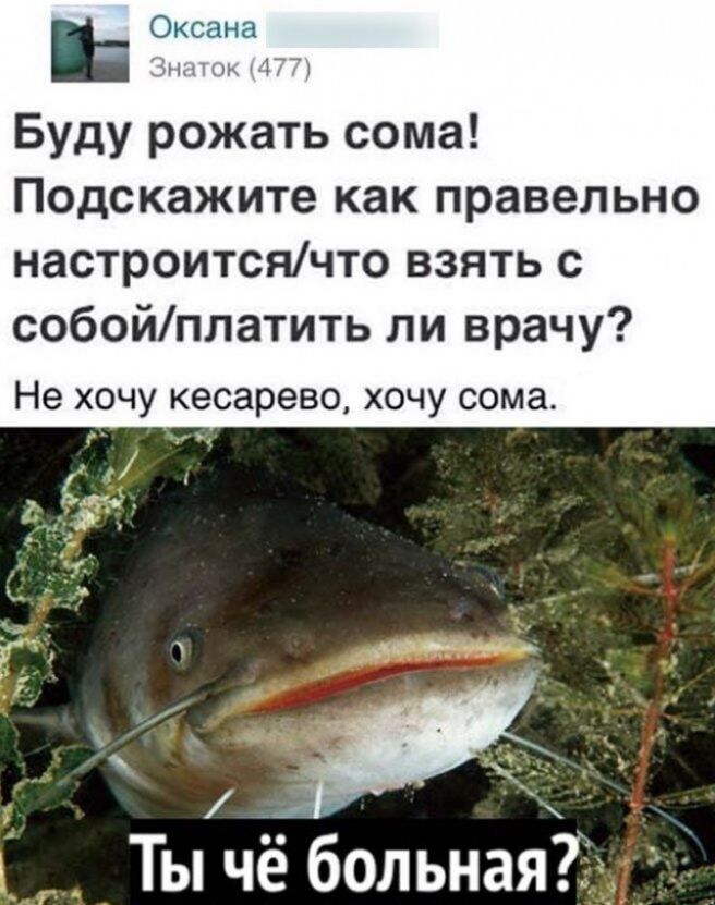 ь Оксана м 1 Буду рожать сома Подскажите как правельно настроитсячто взять с собойплатить ли врачу Не ХОЧУ кесарево ХОЧУ сома мы_ _ ъ Ты чё больная_