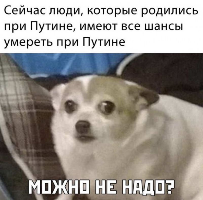 Сейчас люди которые родились при Путине имеют все шансы умереть при Путине Ёдзе ипжднп нв нддпт