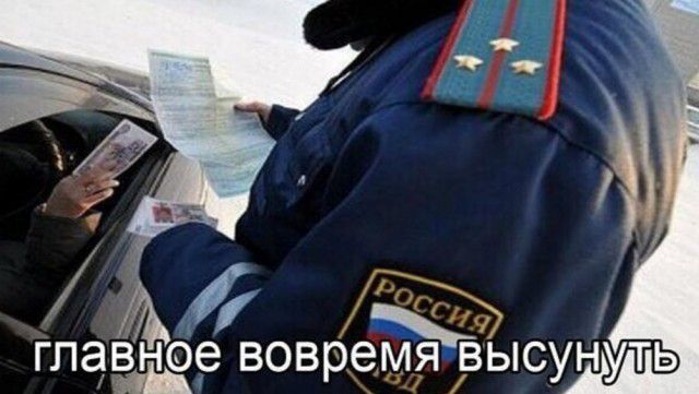 высунуть ЛМ ддт овремя