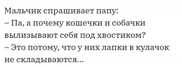 МЭЛЬЧИК СПРЭШИВЗЭТ папу _ Па ПОЧЕМУ КОШВЧКИ И собачки ВЬ1ЛИ3Ь1ВаЮТ себя ПОД ХВОСТИКОМ _ ЭТО ПОТОМУ ЧТО У НИХ ЛЭПКИ В кулачок не складываются