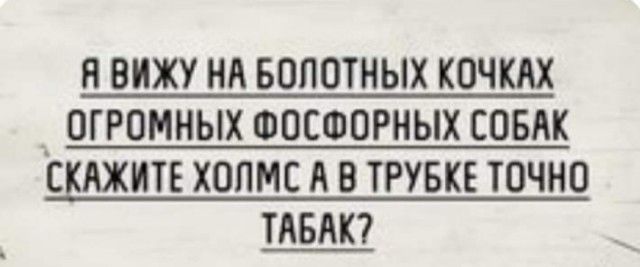 Н ВИЖУ НА БОПОТНЫХ КОЧКАХ 7_ ОГРОМНЫХ ФОСФОРНЫХ СОБАК С АЖИТЕ ХОПМС А В ТРУБКЕ ТОЧНО ТАБАК