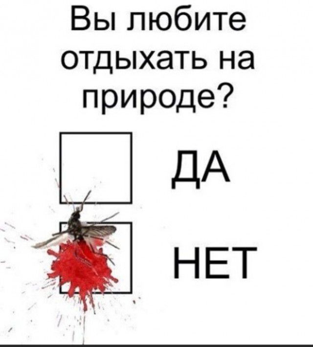 Вы любите отдыхать на природе