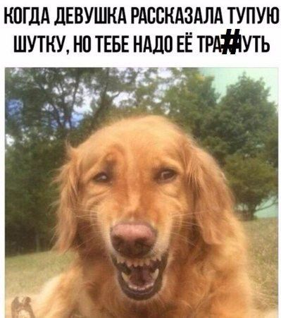 НПГДА дЕВУШКА РАВВКАЗАЛА ТУПУЮ ШУТКУ НП ТЕБЕ НАДО ЕЁ ТРАЁУТЬ