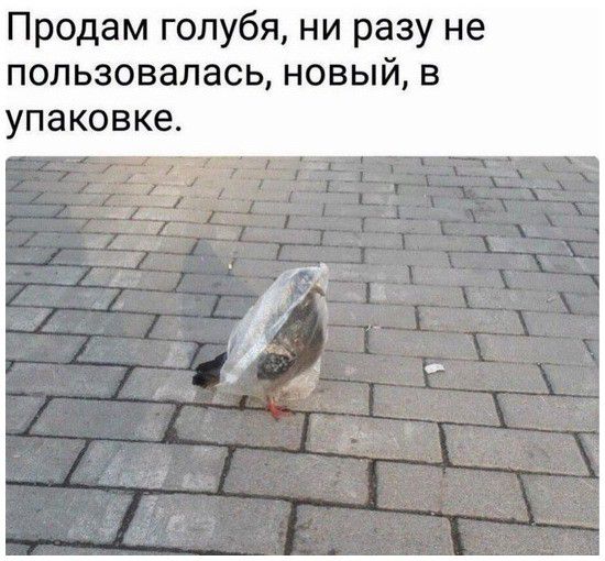 Продам голубя ни разу не пользовалась новый в упаковке