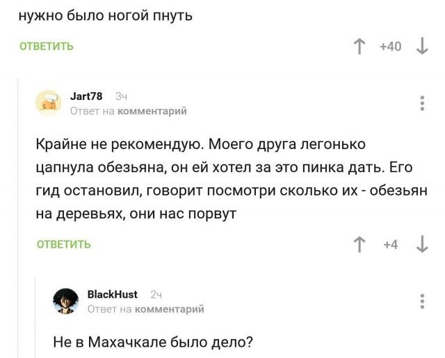 нужно было ногой пнуть ответить Т 40 4 дтп комментарии Крайне не рекомендую Моего друга легонько цапнула обезьяна он ей хотел за это пинка дать Его гид остановил говорит посмотри сколько их обезьян на деревьях они нас порвут отнЕтить Т 4 1 Віасйнизі комментарии Не в Махачкале было дело