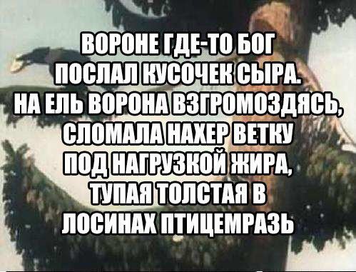 ворон дЕ то вот посТили Ё0ЁШЁЫШ нп шь погоня взгюмпздпеь ШЦДншизиой жим ШШПтопспіпв посиш птицшгпзь _ Щ