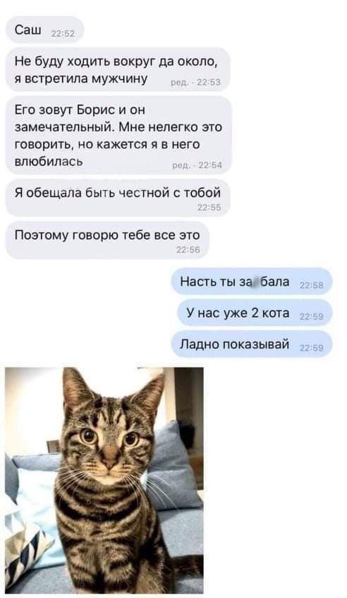 Саш Не буду ходить вокруг дд около Я встретила мужчину Его зовут Борис и он ЗЕМЕЧБТЕПЬНЫЙ Мне НЕПЕГКО ЭТО ГОВОРИТЬ НО КВЖЕТСЯ Я В НЕГО влюбилась Я обещала быть честной с тобой Поэтому говорю тебе все это Насгь победа У нас уже 2 кота Ладно показывай и