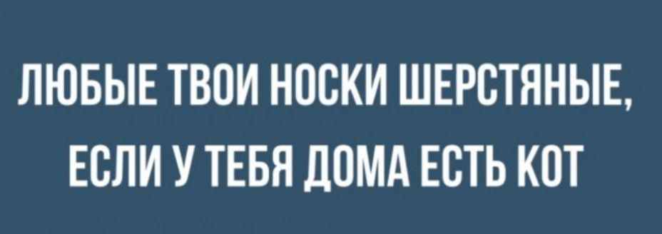 ЛЮБЫЕ ТВОИ НООКИ ШЕРОТЯНЫЕ ЕСЛИ У ТЕБЯ ДОМА ЕОТЬ КОТ