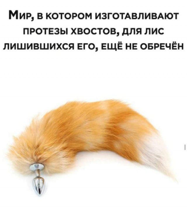 МИР В КОТОРОМ ИЗГОТАВЛИВАЮТ ПРОТЕЗЫ ХВОСТОВ для ЛИС ЛИШИВШИХСЯ ЕГО ЕЩЁ НЕ ОБРЕЧЁН