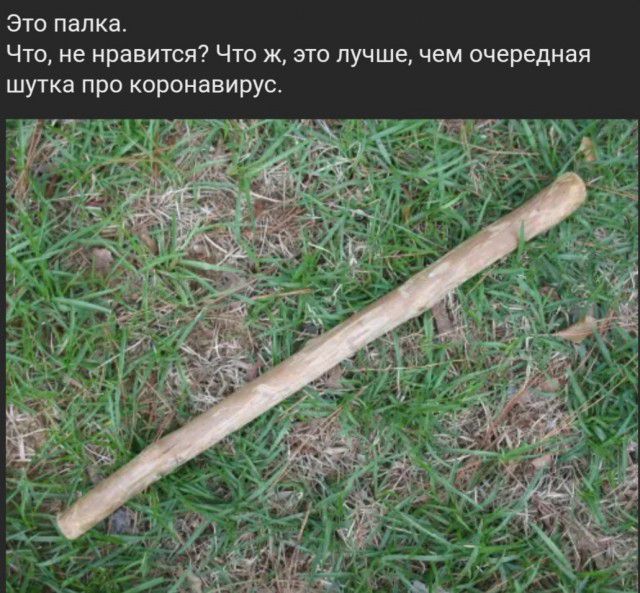 Это палка Что не нравится Что ж это лучше чем очередная шутка про коронавирусх
