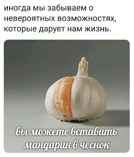 иногда МЫ забываем О НЗВЭРОЯТНЫХ ВОЗМОЖНОСТЯХ которые дарует НЭМ ЖИЗНЬ