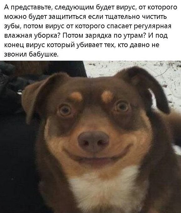 А представьте следующим будет вирус от которого можно будет защититься если тщательно чистить зубы потом вирус от которого спасает регулярная влажная уборка Потом зарядка по утрам И под конец вирус который убивает тех кто давно не звонил бабушке