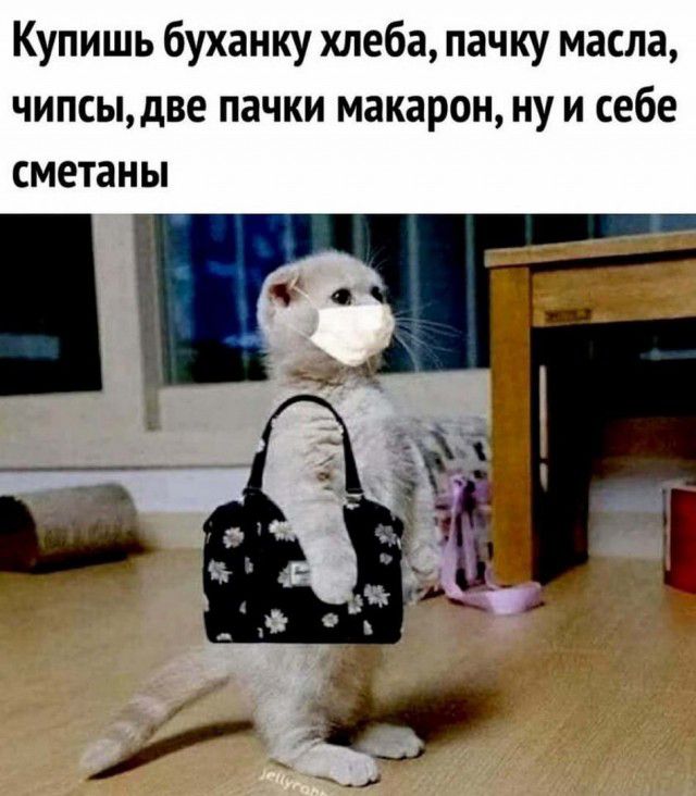 Купишь буханку хлеба пачку масла чипсыдве пачки макарон ну и себе сметаны