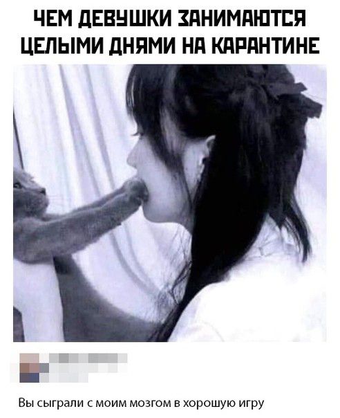 ЧЕМ дЕВНШКИ ЗПНИМПШТЕП ЦЕПЫМИ дНЯМИ Нд КПРПНТИНЕ Вы сыграли моим мозгом в хорошую игру