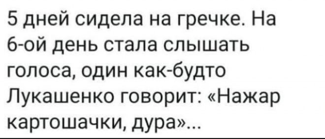 5 дней сидела на гречке На 6 ой день стала слышать голоса один как будто Лукашенко говорит Нажар картошачки дура