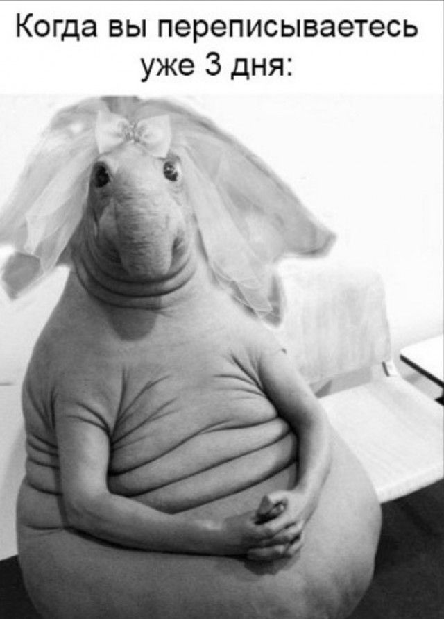 Когда вы переписываетесь уже 3 дня
