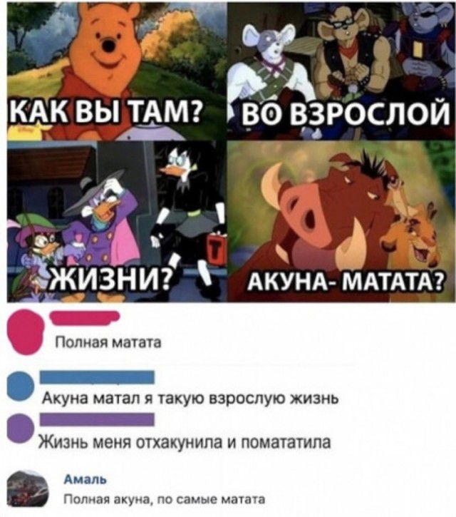 с ЁЖИЗНИ АКУНА МАТАТА Полная матата _ Акуна матап и такую взрослую жизнь _ Жизнь меня отхакунипа и помататипа АМЗПЬ Полная акуна по самые маша