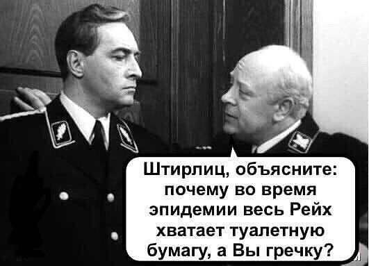 Штирлиц объясните почему во время эпидемии весь Рейх хватает туалетную бумагу в Вы гречку