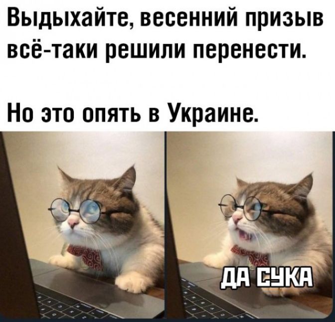 Выдыхайте весенний призыв всё таки решили перенести Но это опять в Украине