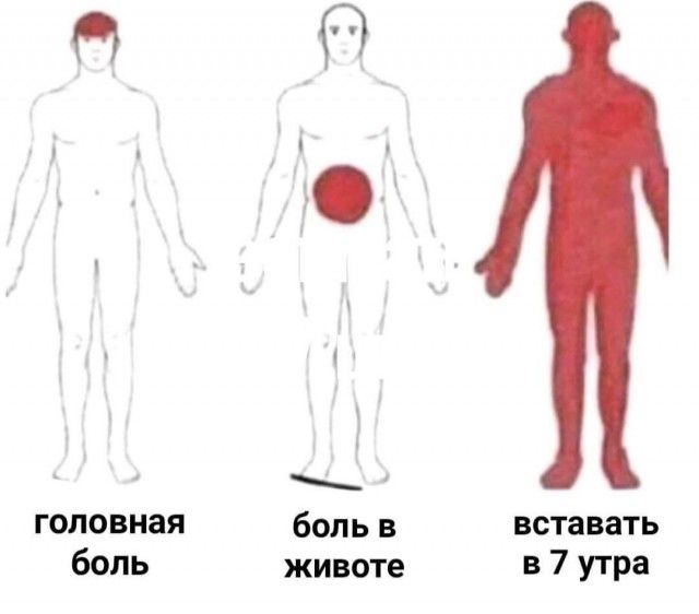 головная боль боль в животе вставать в 7 утра