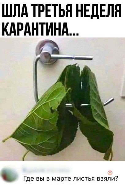 ШЛА ТРЕТЬЯ НЕДЕЛЯ КАРАНТИНА