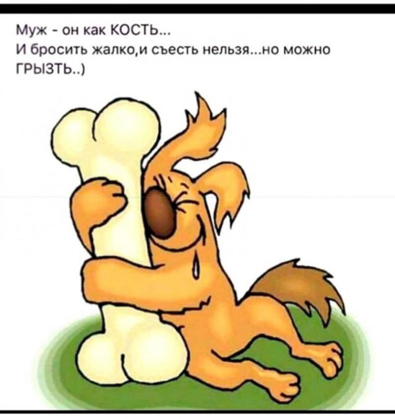 Муж он как КОСТЬ И бросить жалком съесть непьзяно можно грызть