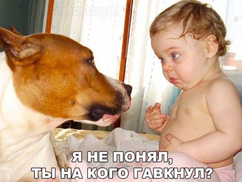 ЧШ эпняп кэго тАвюнуп _