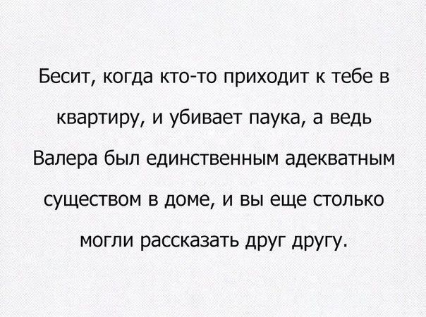 Бесит когда ктото приходит к тебе в квартиру и убивает паука а ведь Валера был единственным адекватным существом в доме и вы еще столько могли рассказать друг дРУГУ