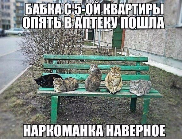 _ иденцмднМ идвъгнов