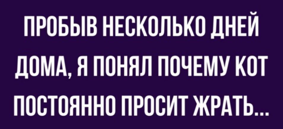 ПРОБЫВ НЕСКОЛЬКО ДНЕЙ ДОМА Я ПОННЛ ПОЧЕМУ КОТ ПОСТОЯННО ПРООИТ ЖРАТЬ