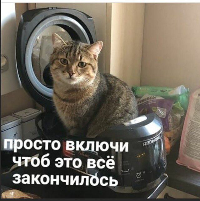 ъосто вкдючи _ чгбб этовсё д __ закончиітбсь