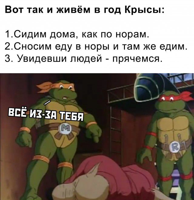 Вот так и живём в год Крысы 1Сидим дома как по норам 2Сносим еду в норы и там же едим 3 Увидевши людей прячемся