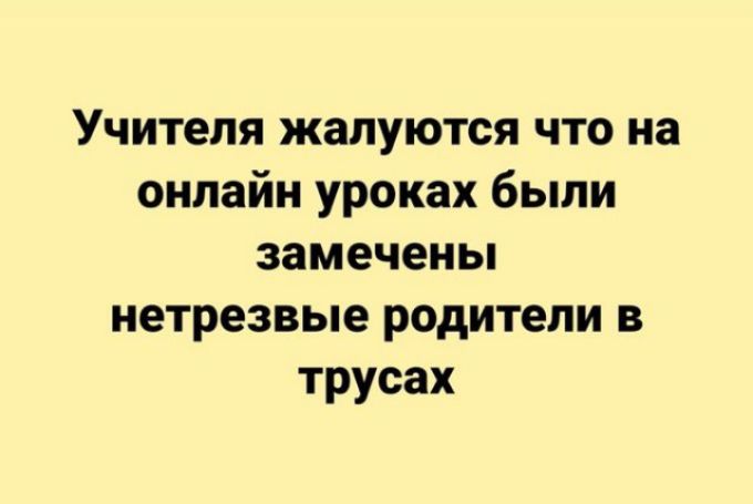 Учителя жалуются что на онлайн уроках были замечены нетрезвые родители в трусах