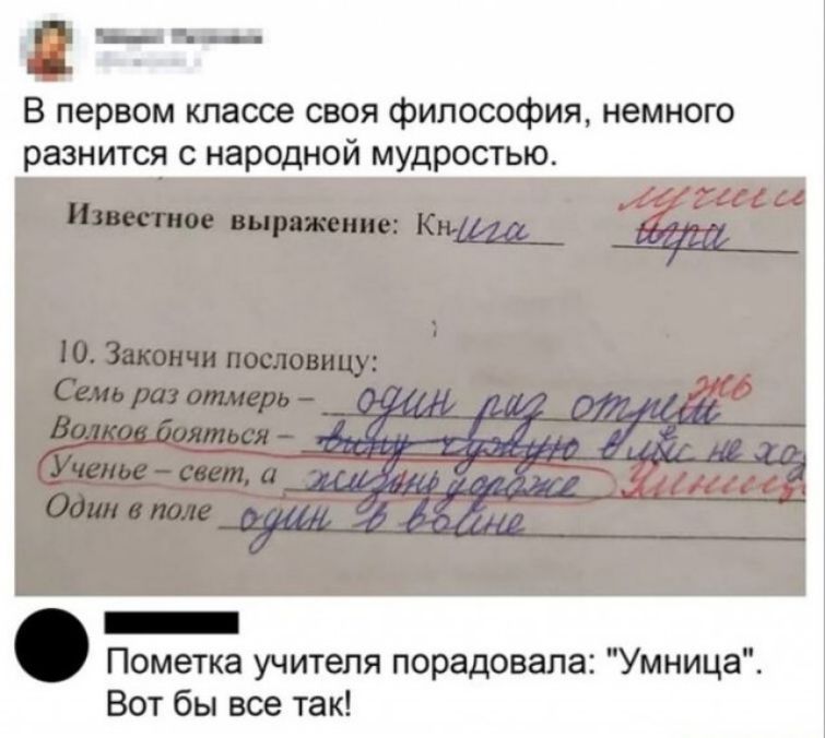 В первом классе своя философия немного разнится с народной мудростью _ Пометка учителя порадовала Умница Вот бы все так
