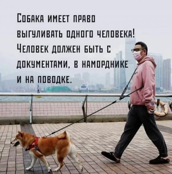 Епвдкд имш ппявп выгнливпть пднпгп чвлпвнкд Чнлпвккдплжвн нытьп а дпкнмкнтдми в ндмппдникв И Нд ППБПДКЕ _ _ ім