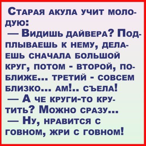 СТАРАЯ АКУЛА учит моло дую Видишь дАйВЕРА Под плывмзшь к нему дЕПА ешь СНАЧАЛА Большой круг потом второй по влижв третий совсем Близко Ам съвлд А ЧЕ круги то кру тить Можно СРАЗУ НУ НРАВИТСЯ с говном жри с говном