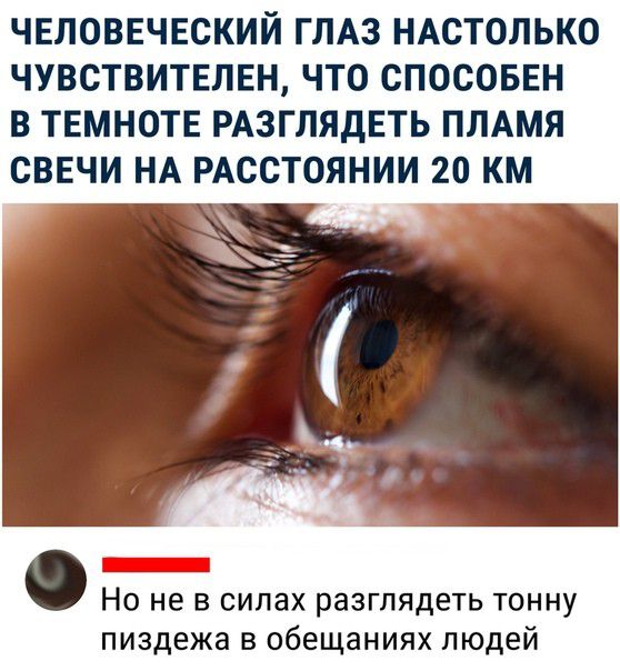 ЧЕЛОВЕЧЕСКИЙ ГЛАЗ НАСТОЛЬКО ЧУВСТВИТЕЛЕН ЧТО СПОСОБЕН В ТЕМНОТЕ РАЗГЛЯДЕТЬ ПЛАМЯ СВЕЧИ НА РАССТОЯНИИ 20 КМ Но не в силах разглядеть тонну пиздежа в обещаниях людей