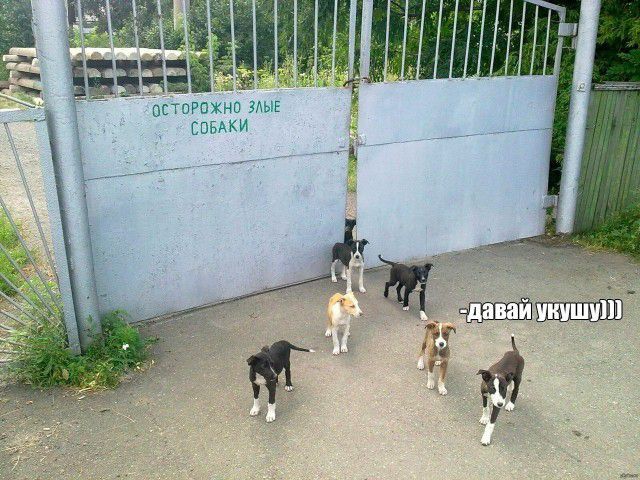 Э м шип